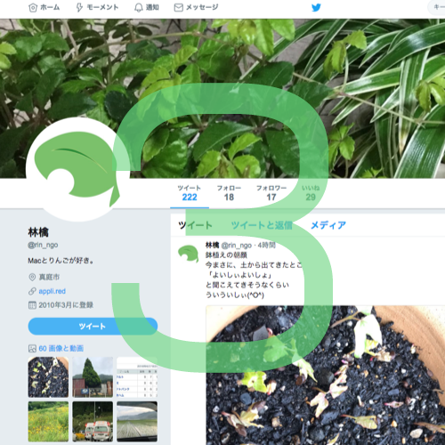 ツイッターの使い方、ツイートやフォロー