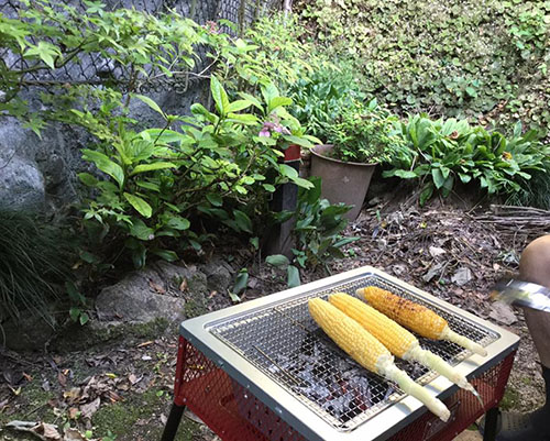 写真、裏庭BBQ トウモロコシを焼く